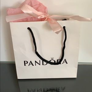 Pandora Jewelry Gift Bag.